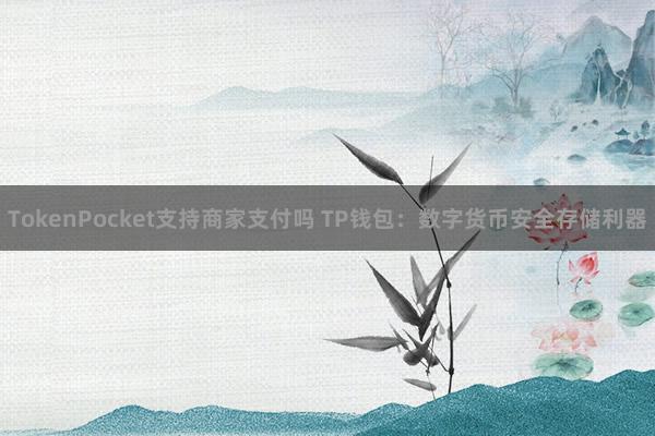 TokenPocket支持商家支付吗 TP钱包：数字货币安全存储利器